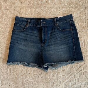 LOFT Blue Denim Cut-Off Shorts